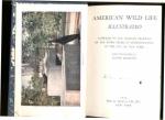 American Wild Life Illustratd grt photos 1946