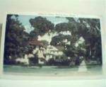 Ridgewood Avenue at Daytona Beach Fl.!Color!