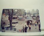 Children's Zoo in New York City!Color!
