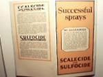 BG Pratt Scalecide Pesticide for Orchards! c1926!