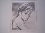 1940's Photo of Beautiful Bombshell BERRIE CHASE