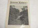 Scientific American- 2/26/1910- Cochin Jungle, India